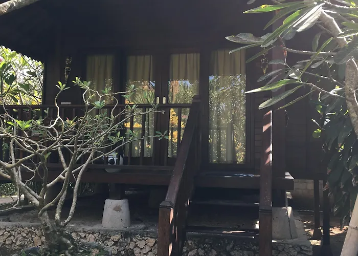 キャッサバ 3*